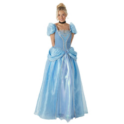 Adult Grand Heritage Cinderella Costume