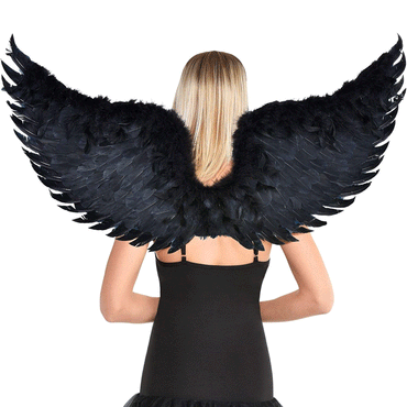 Adult Dark Angel Wings