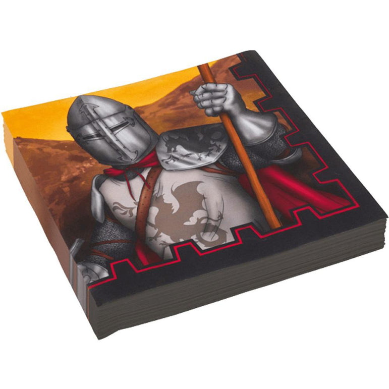 Knights Lunch Tissues 20pcs Printed Tableware - Party Centre
