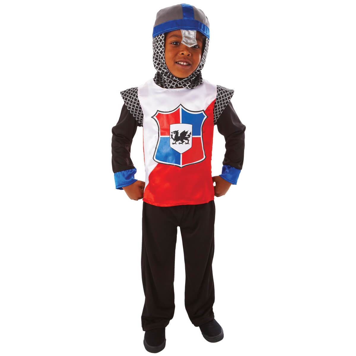 Child Knight of the Realm Halloween Costume Costumes & Apparel - Party Centre